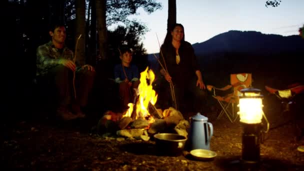 Family toasting marshmallows — Stock Video