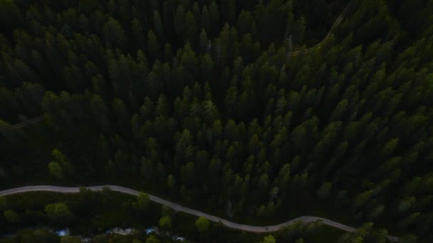 Alpines Waldtal und Straße, Italien — Stockvideo