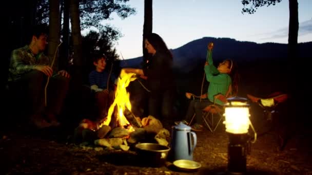 Family  toasting marshmallows — Stock Video