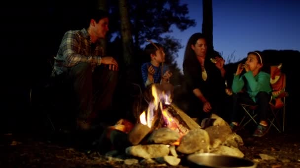 Family toasting smores — Stock Video