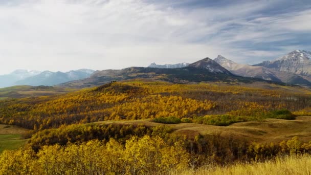 秋の荒野のハイキング コース — ストック動画