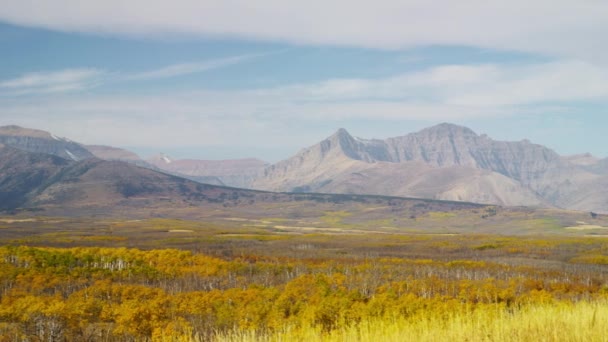 Hábitat de vida silvestre de montañas — Vídeos de Stock