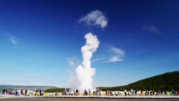 Geyser no Parque Nacional de Yellowstone — Vídeo de Stock