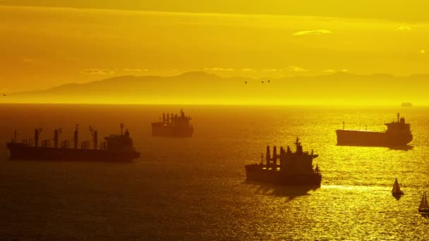 Indústria naval do porto de Vancouver — Vídeo de Stock