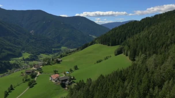 Alpesi erdő valley, Olaszország — Stock videók