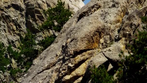 Ulusal Anıtı Rushmore Dağı — Stok video