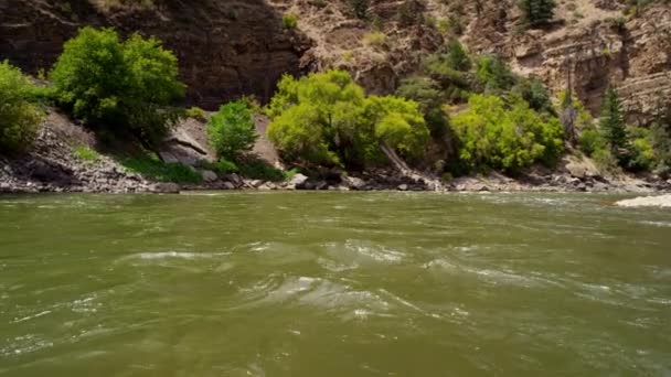 Rapides du fleuve Colorado en montagne — Video