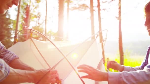 Father and son erecting tent — Stock Video