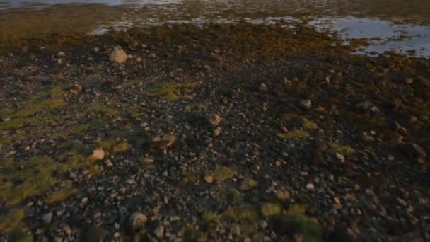 Eilean Donan castle Loch Duich, Skotsko — Stock video