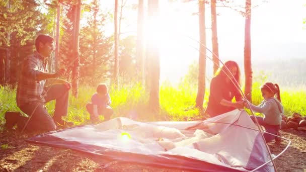 Camping en familia en el bosque — Vídeo de stock