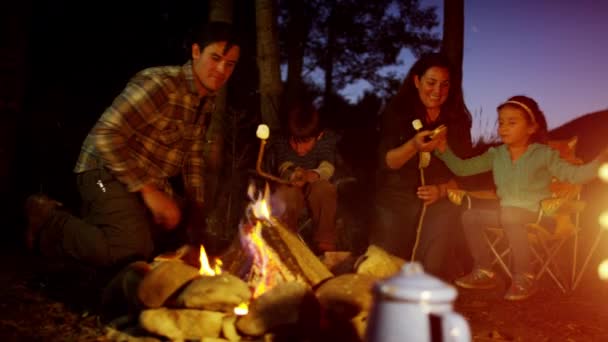 Parents and children toasting smores — Stock Video