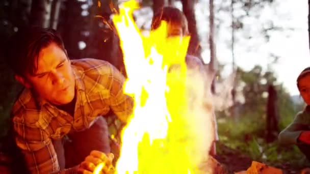 Père et enfants faisant feu de camp — Video