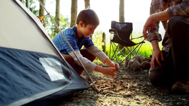 Far och son uppföra tält — Stockvideo