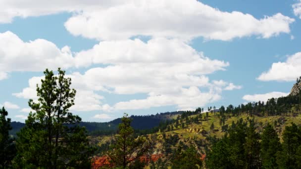 Torre dos Demónios, Wyoming — Vídeo de Stock