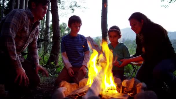 Familie kampvuur maken — Stockvideo