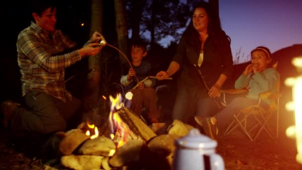 Family toasting smores — Stock Video