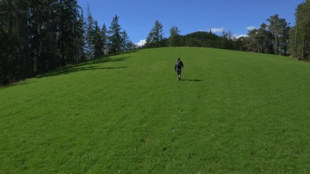 Male hiker walking in Dolomites — Stock Video