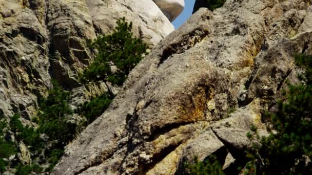 Başkan, Rushmore Dağı taş oyma — Stok video