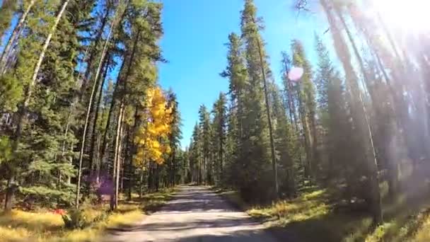 Icefields Parkway in Canada — Video Stock