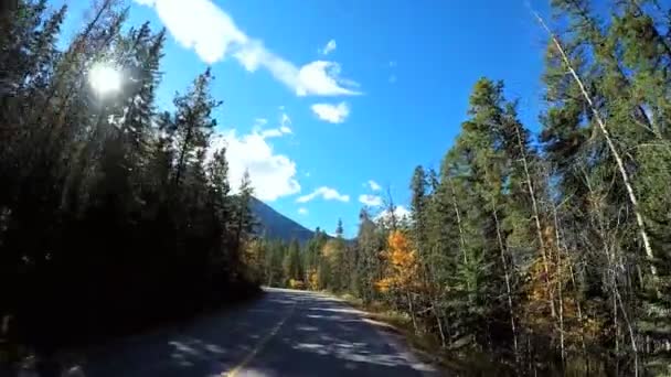 Icefields Parkway in Canada — Stock Video