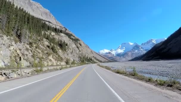 Foresta sempreverde in posizione remota — Video Stock