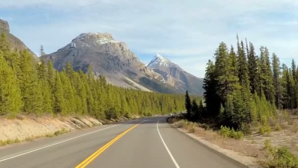 Icefields Parkway in Canada — Stockvideo