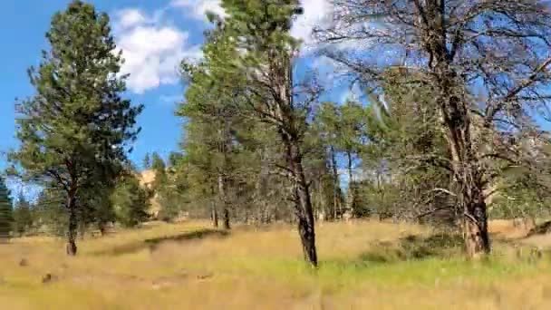 Devils Tower um monumento nacional em Wyoming — Vídeo de Stock