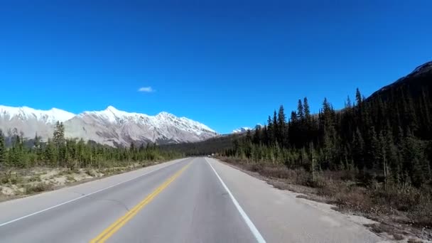 Icefields Parkway in Canada — Stockvideo