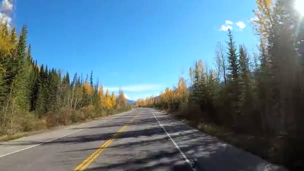 Icefields Parkway in Canada — Stockvideo