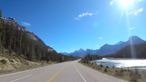 Fiume Icefields Parkway in Canada — Video Stock