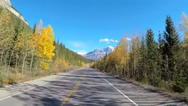 Icefields parkway i Kanada — Stockvideo