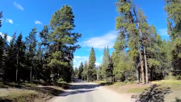 Icefields parkway i Kanada — Stockvideo