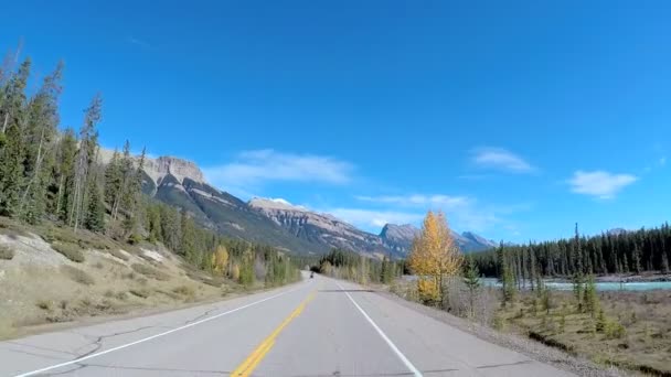 Nehir Icefields Parkway Kanada — Stok video