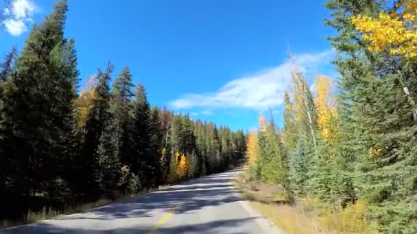カナダの氷河のパークウェイ — ストック動画