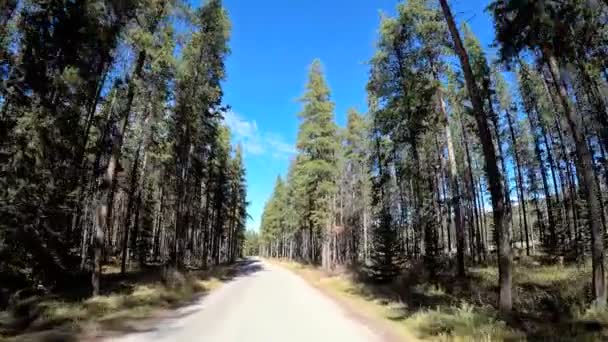 Icefields Parkway no Canadá — Vídeo de Stock