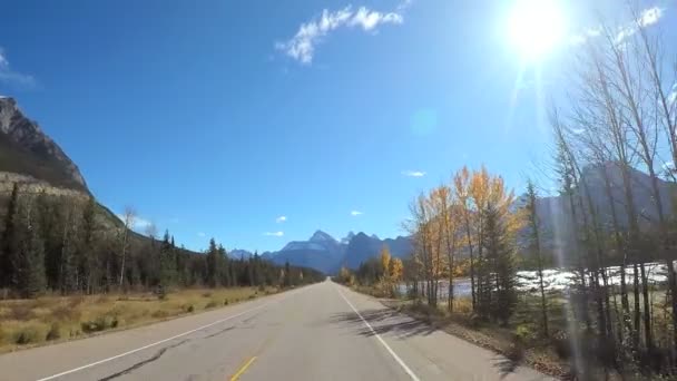 River Icefields Parkway in Canada — Stock Video