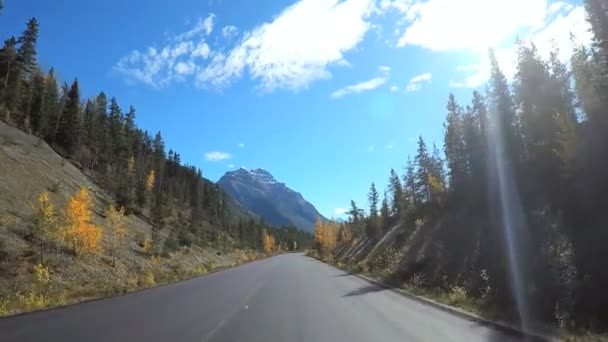 Icefields Parkway in Canada — Stockvideo