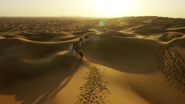 Comboio de camelo que atravessa o deserto — Vídeo de Stock