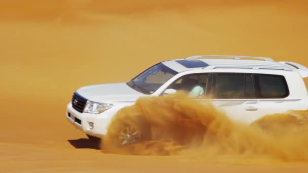 越野汽车在沙漠野生动物园 — 图库视频影像