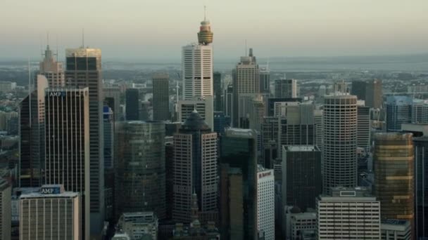Centrepoint Tower skyskrapa i Sydney — Stockvideo