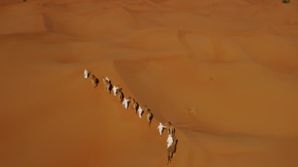 사막을 가로질러 여행 낙 타 기차 — 비디오