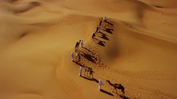 Proprietários de camelos no comboio do deserto — Vídeo de Stock