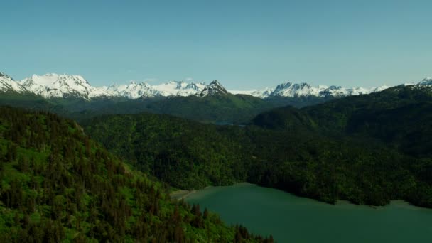 Montagnes enneigées derrière la baie de Kachemak — Video