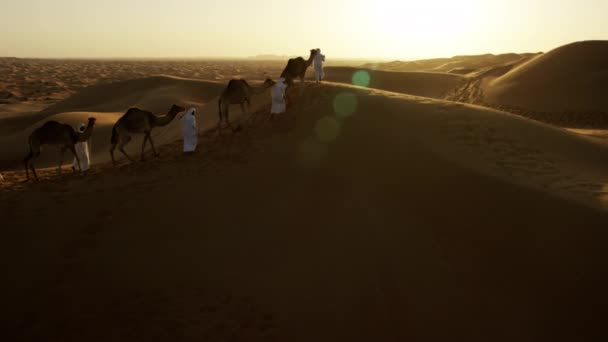 Propietarios de camellos en convoy desierto — Vídeo de stock