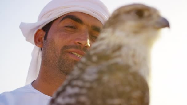 Сокіл у пустелі з птахом здобичі — стокове відео