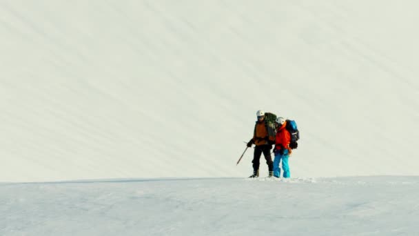 Squadra di arrampicata sulla catena montuosa dell'Alaska — Video Stock