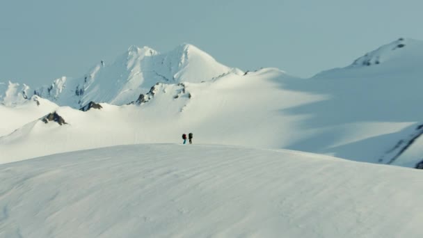 Bergsklättrare i Alaska — Stockvideo