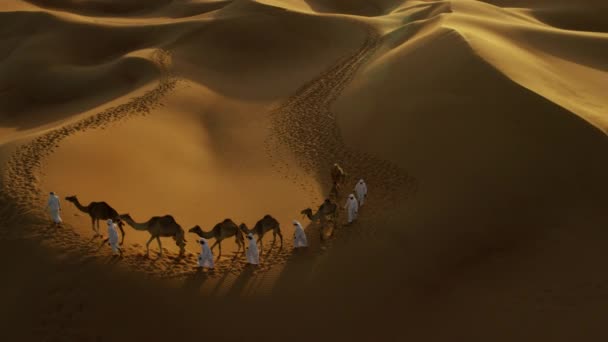 Train à chameaux traversant le désert — Video