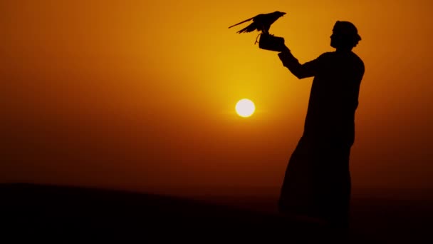 Man with bird of prey on desert sands — Stock Video