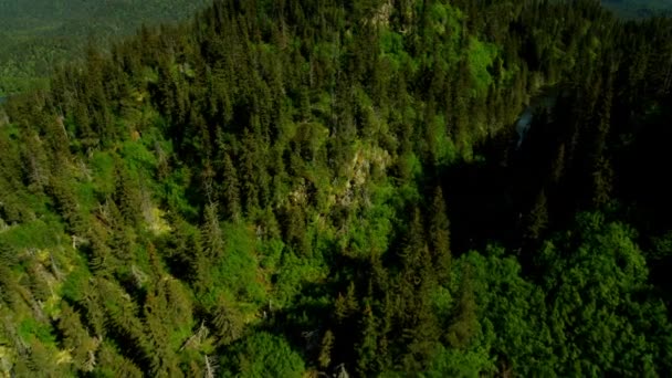 Abgelegene Wildnis der Kachemak Bay Alaschka — Stockvideo